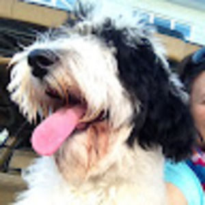 Meet your Posher, Diane